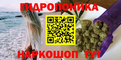 спиды Шебекино